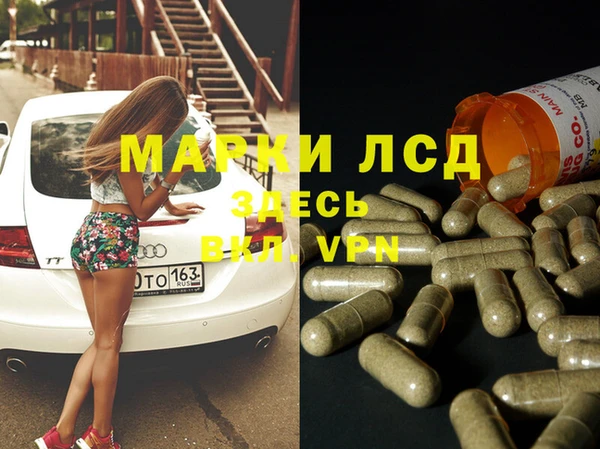 индика Балахна