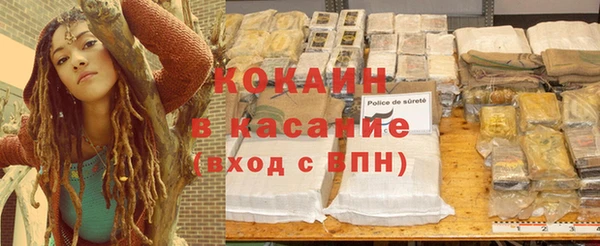 индика Балахна