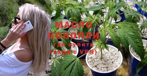 индика Балахна