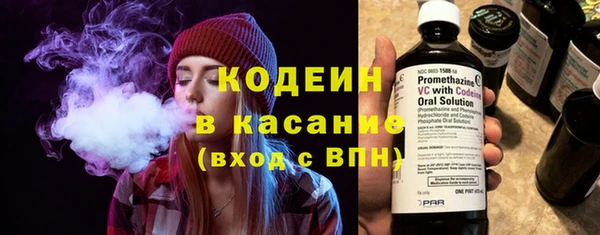 индика Балахна