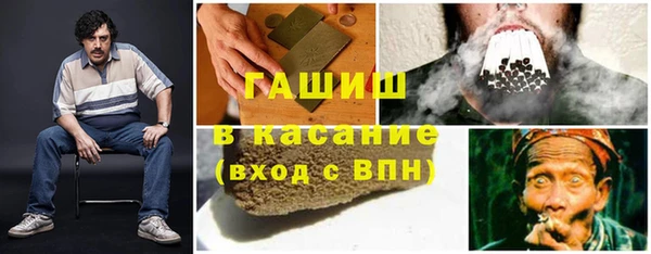 индика Балахна